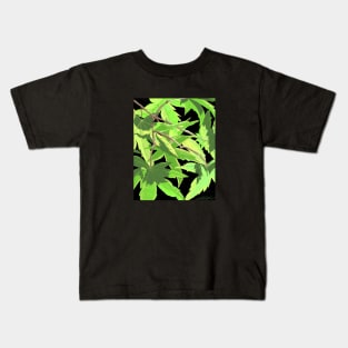 Japanese Maple in the Summer Light Kids T-Shirt